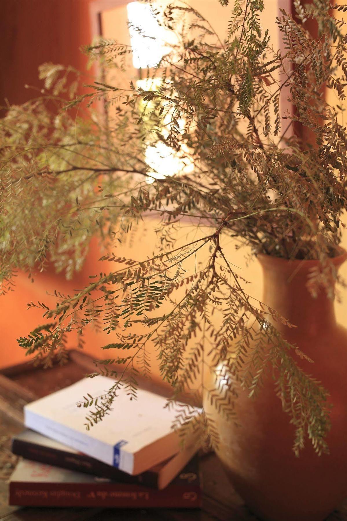 Bed and Breakfast Le Jardin Des Douars Ghazoua Экстерьер фото